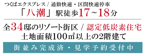 マインドスクェア八潮 TXリゾート34
