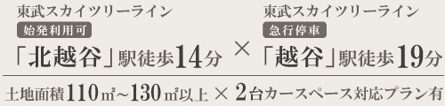 マインドスクェア越ヶ谷 MAGOKOROの街