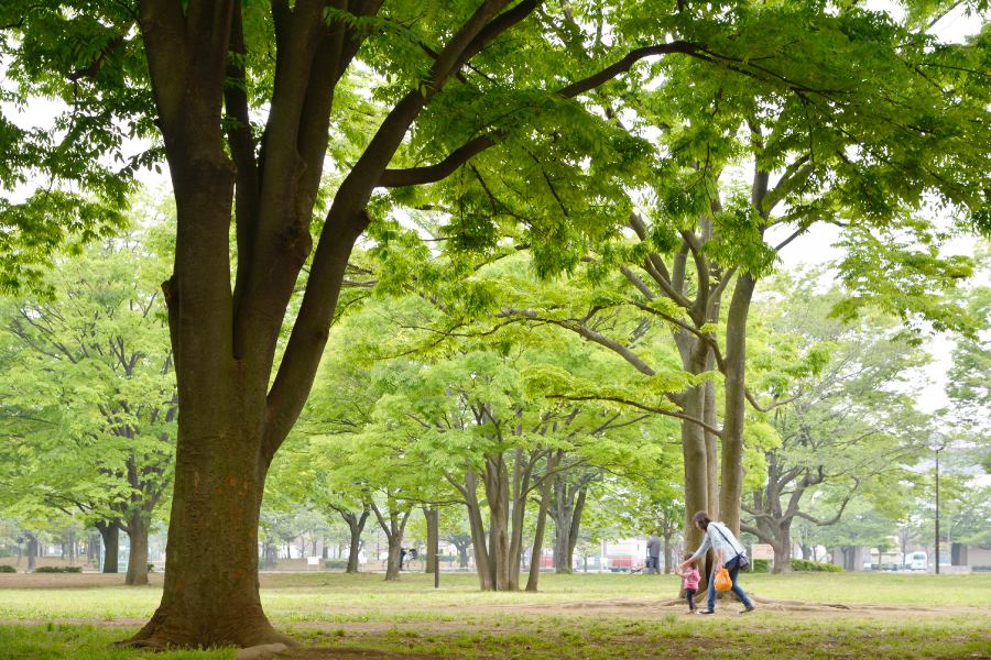 新小岩公園