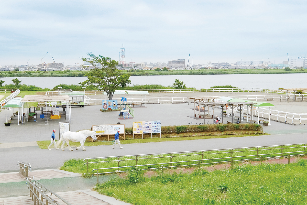 篠崎ポニーランド 篠崎ポニーランド