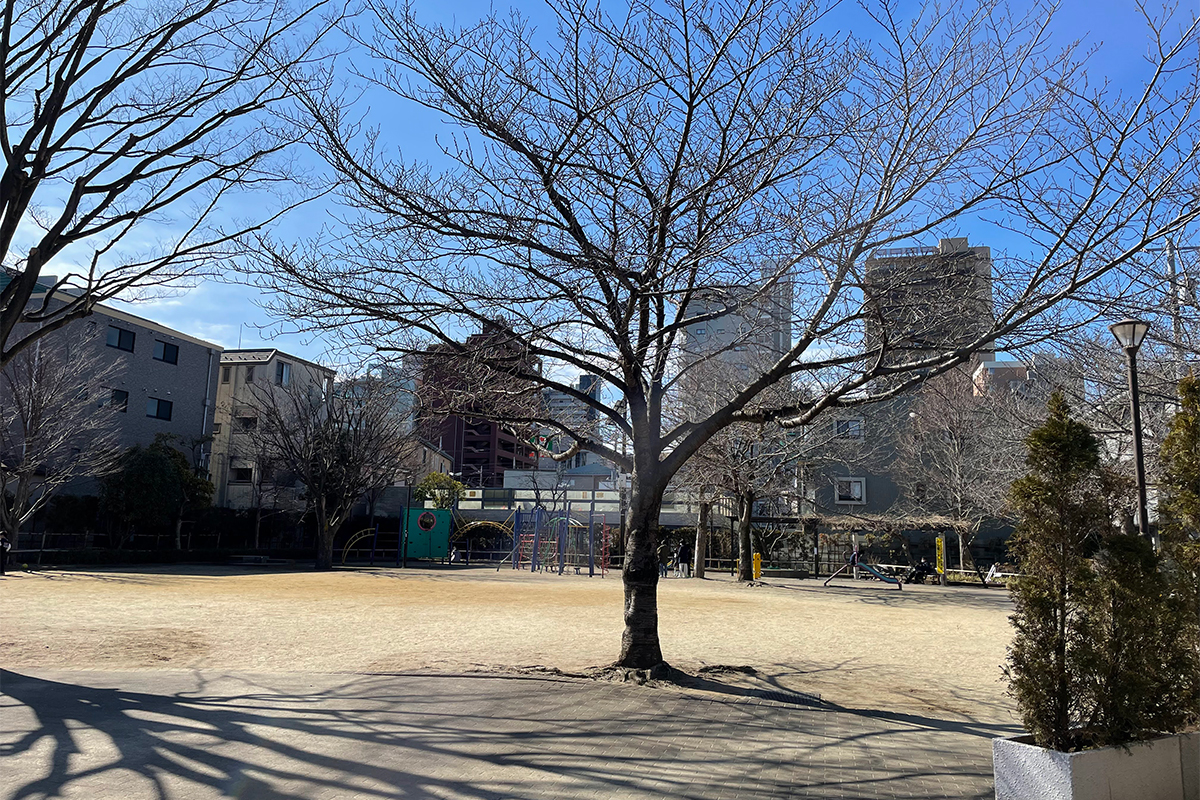篠崎二丁目公園 篠崎二丁目公園
