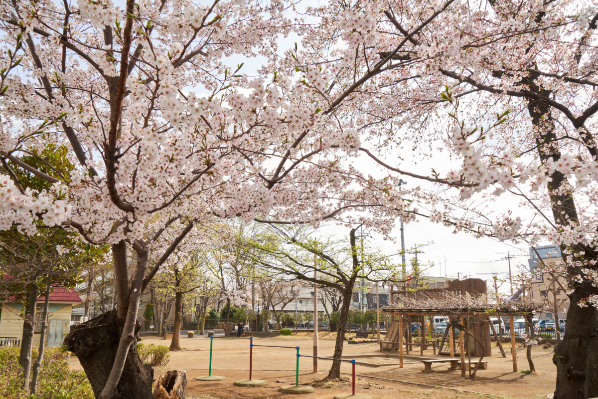 からさわ公園