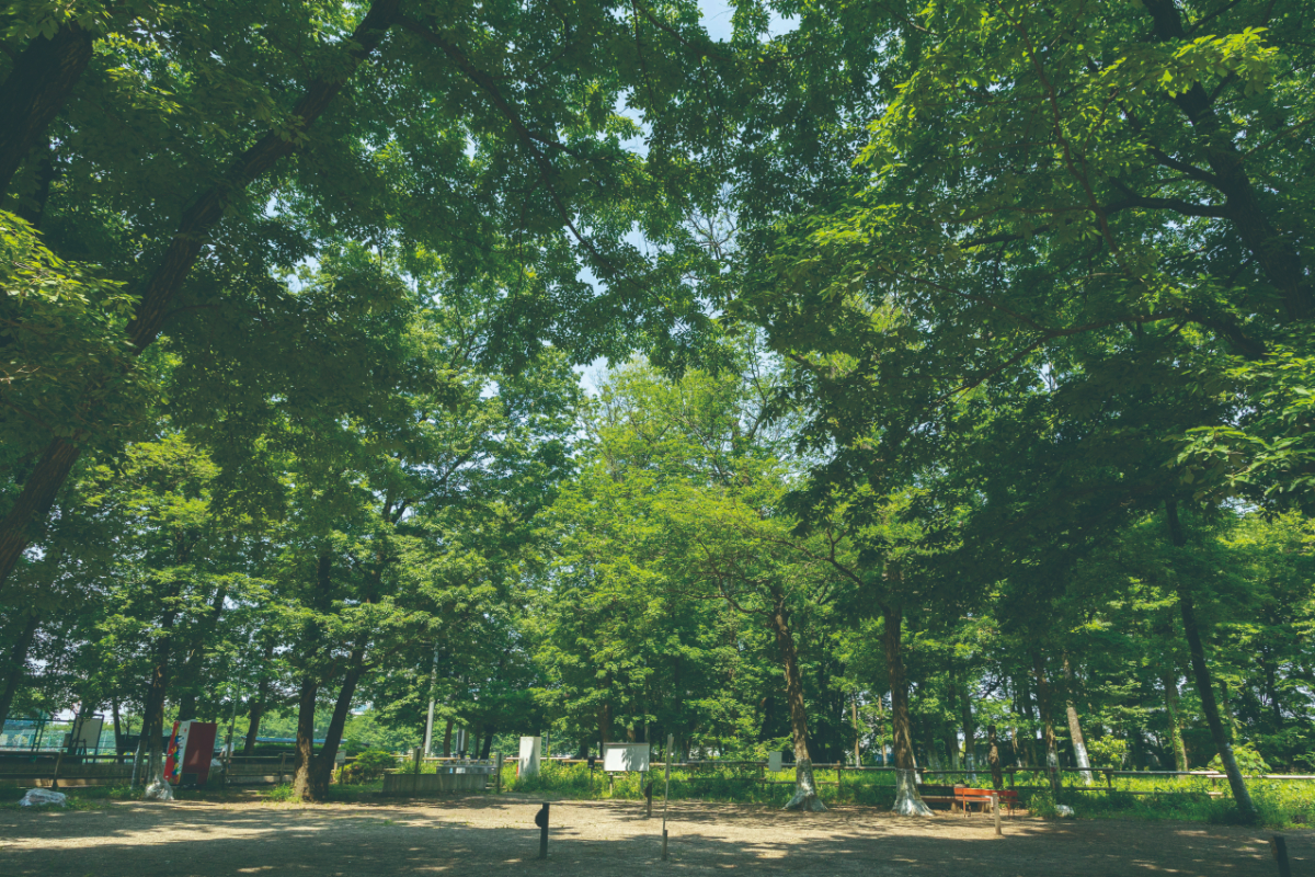 自然の森・レクリエーション公園