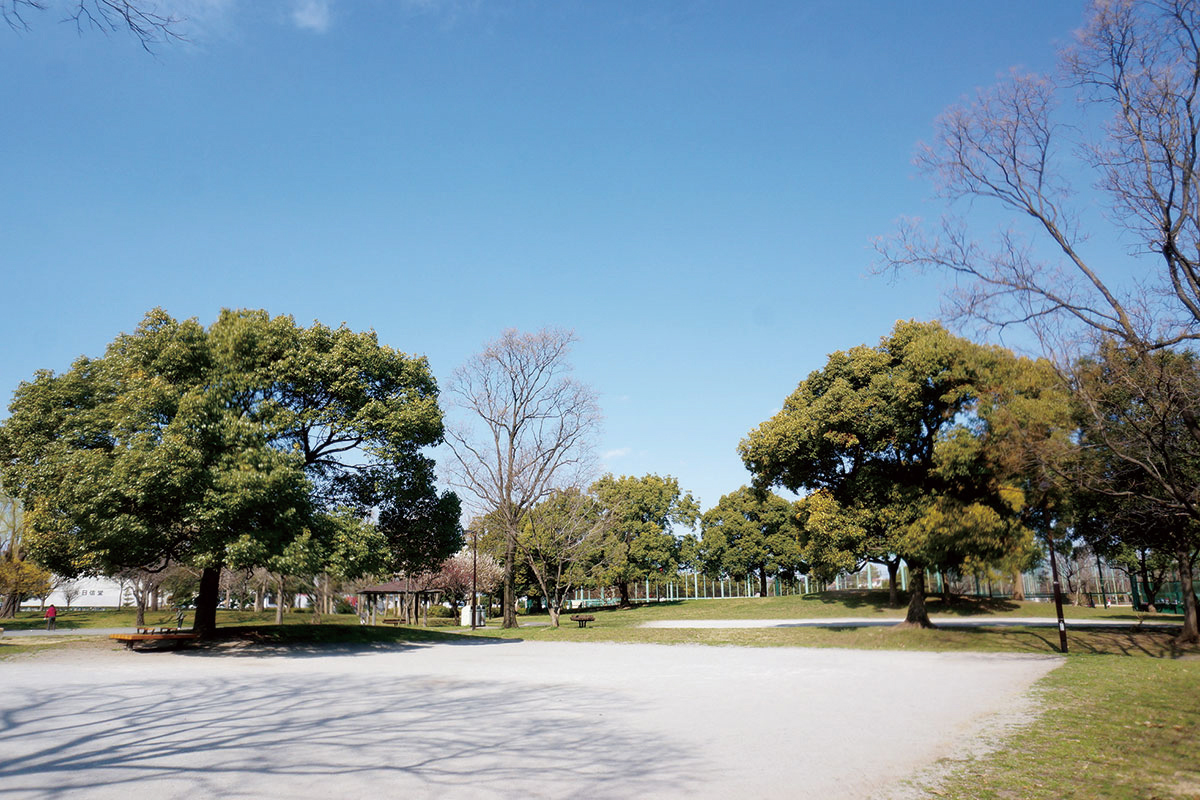 篠崎公園(B地区) 篠崎公園(B地区)