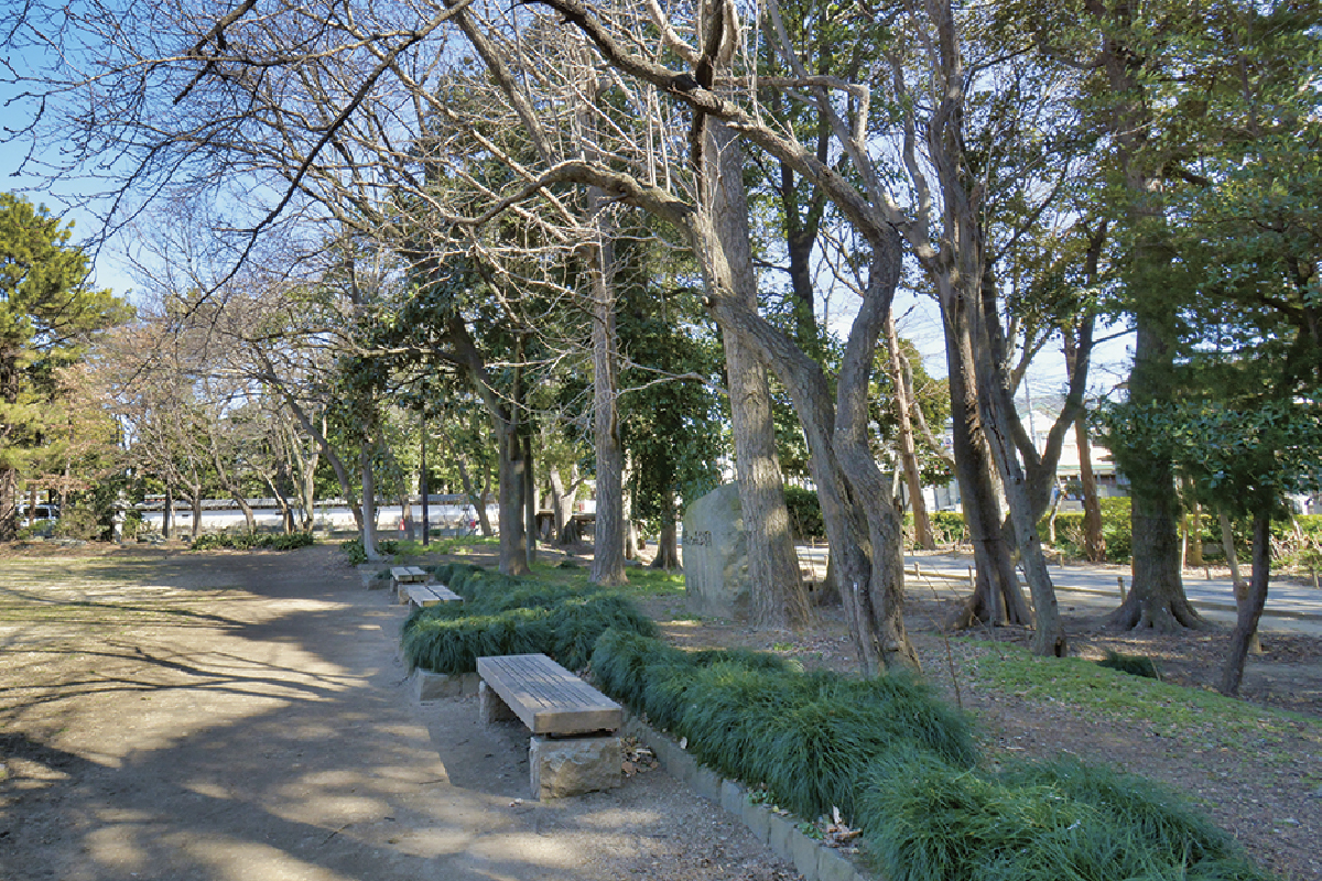 緑の森公園