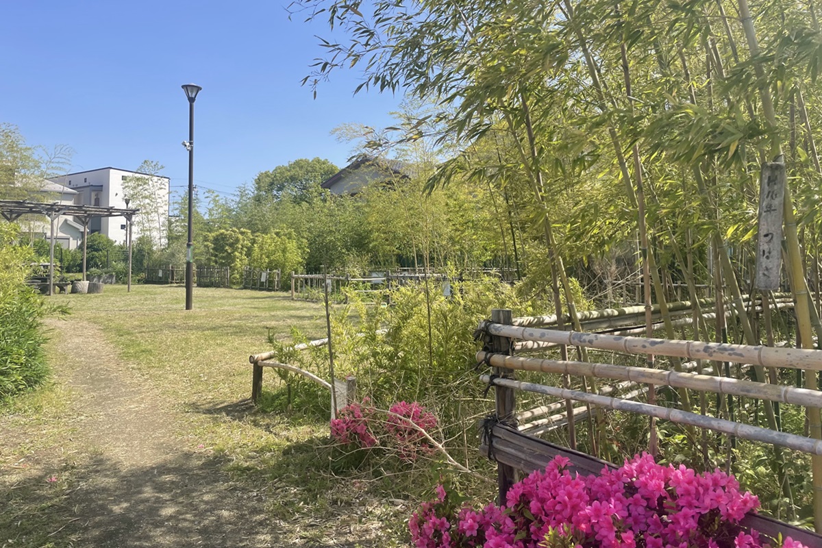 竹と親しむ広場 竹と親しむ広場