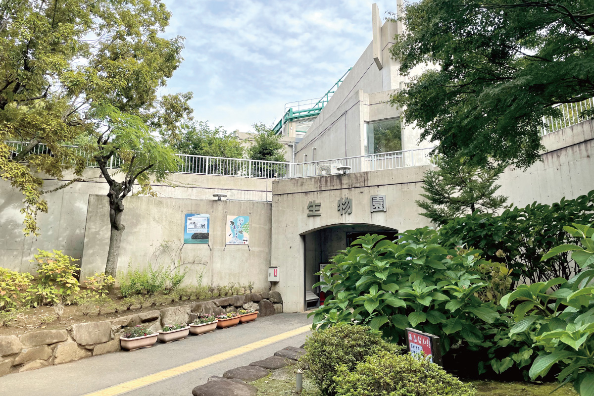 足立区生物園