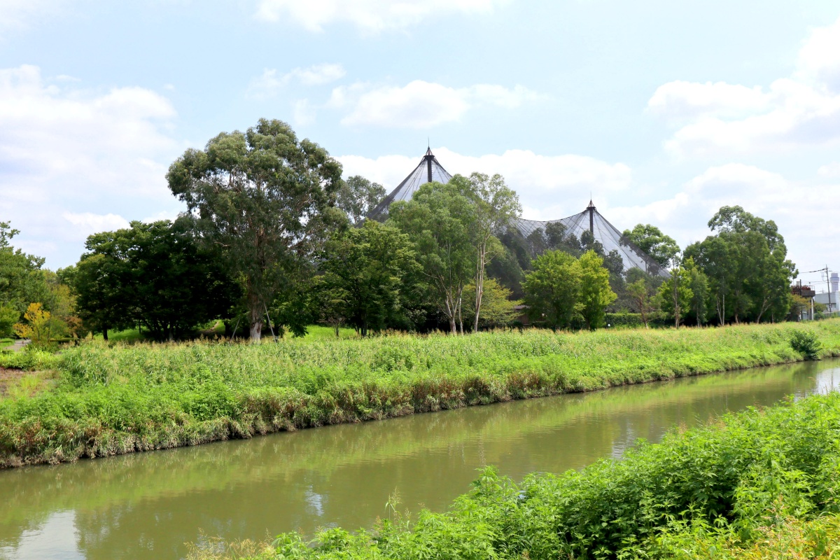 キャンベルタウン野鳥の森