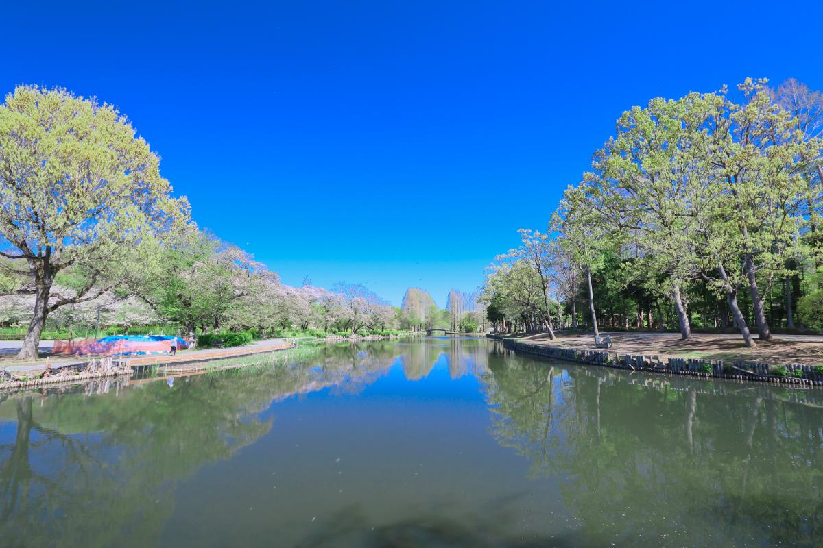 上尾丸山公園 上尾丸山公園