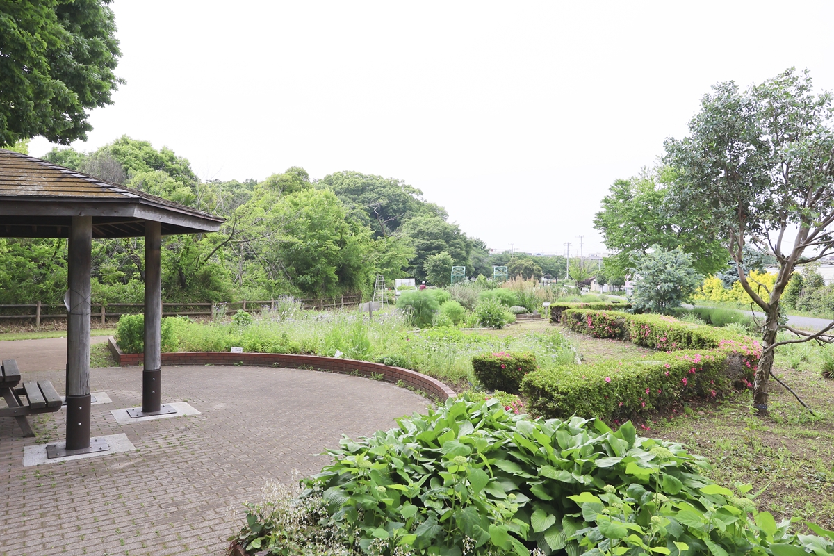 見沼氷川公園