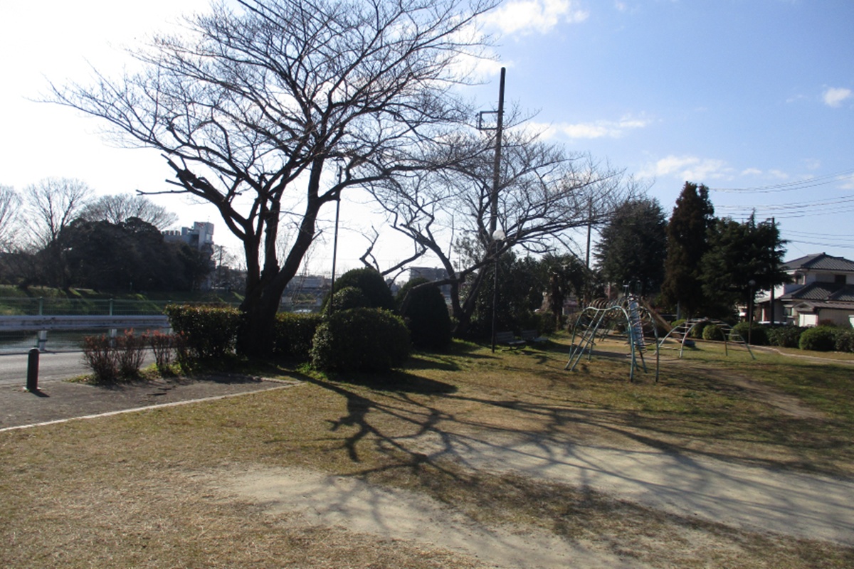 大沢公園 大沢公園