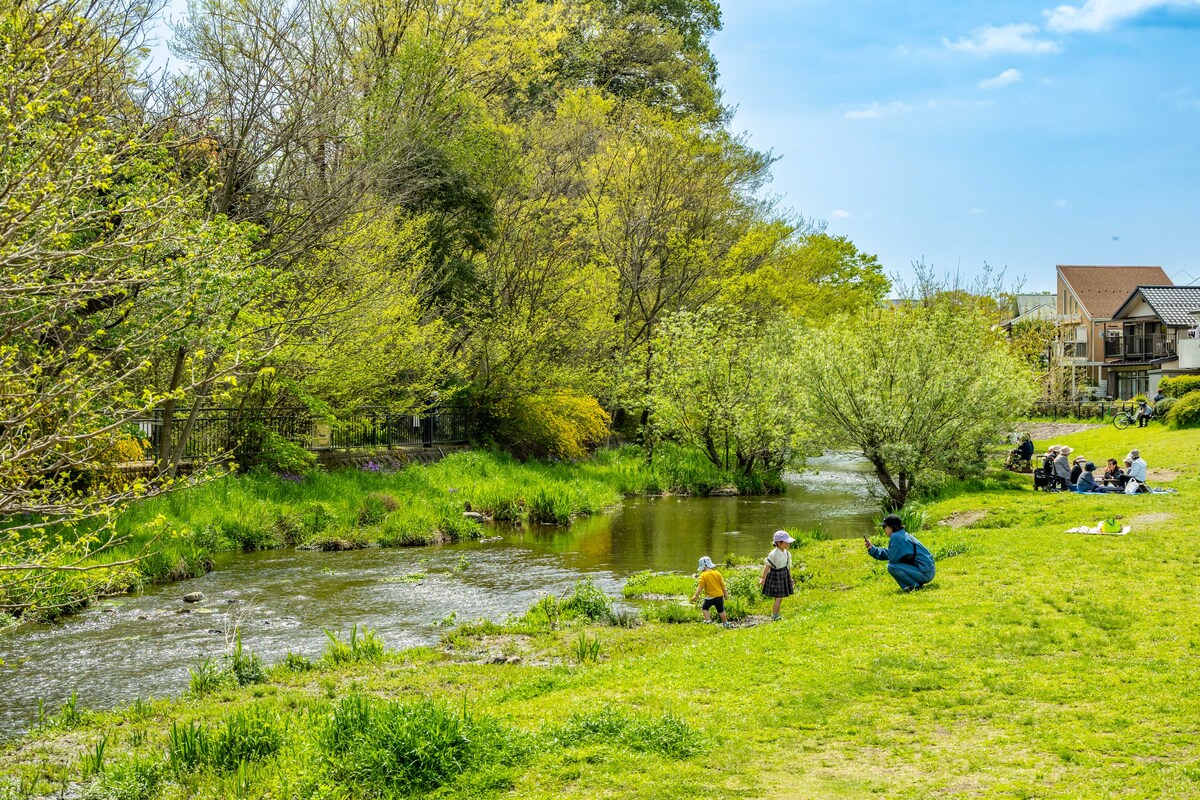 落合川いこいの水辺