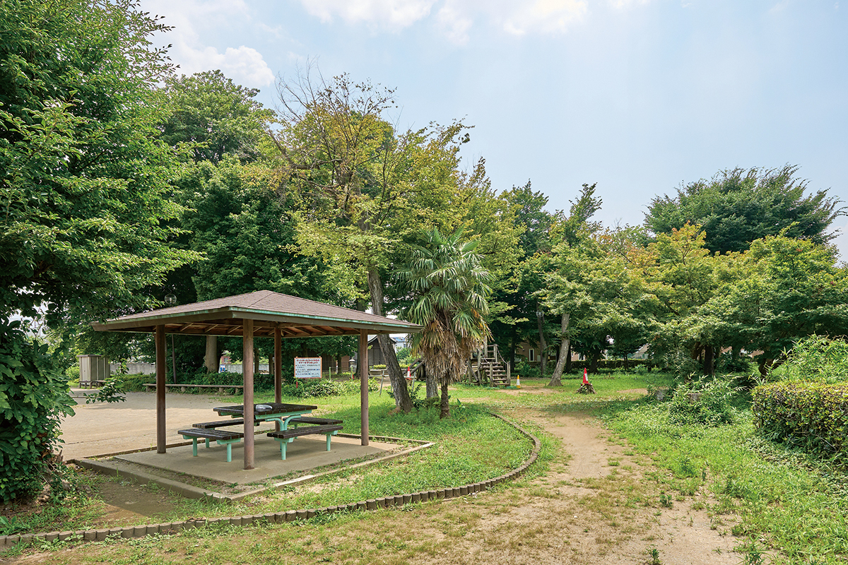 もみじ公園 もみじ公園