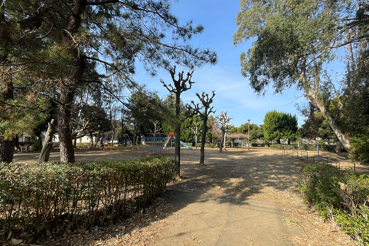 常盤平公園/常盤平体育館 常盤平公園/常盤平体育館