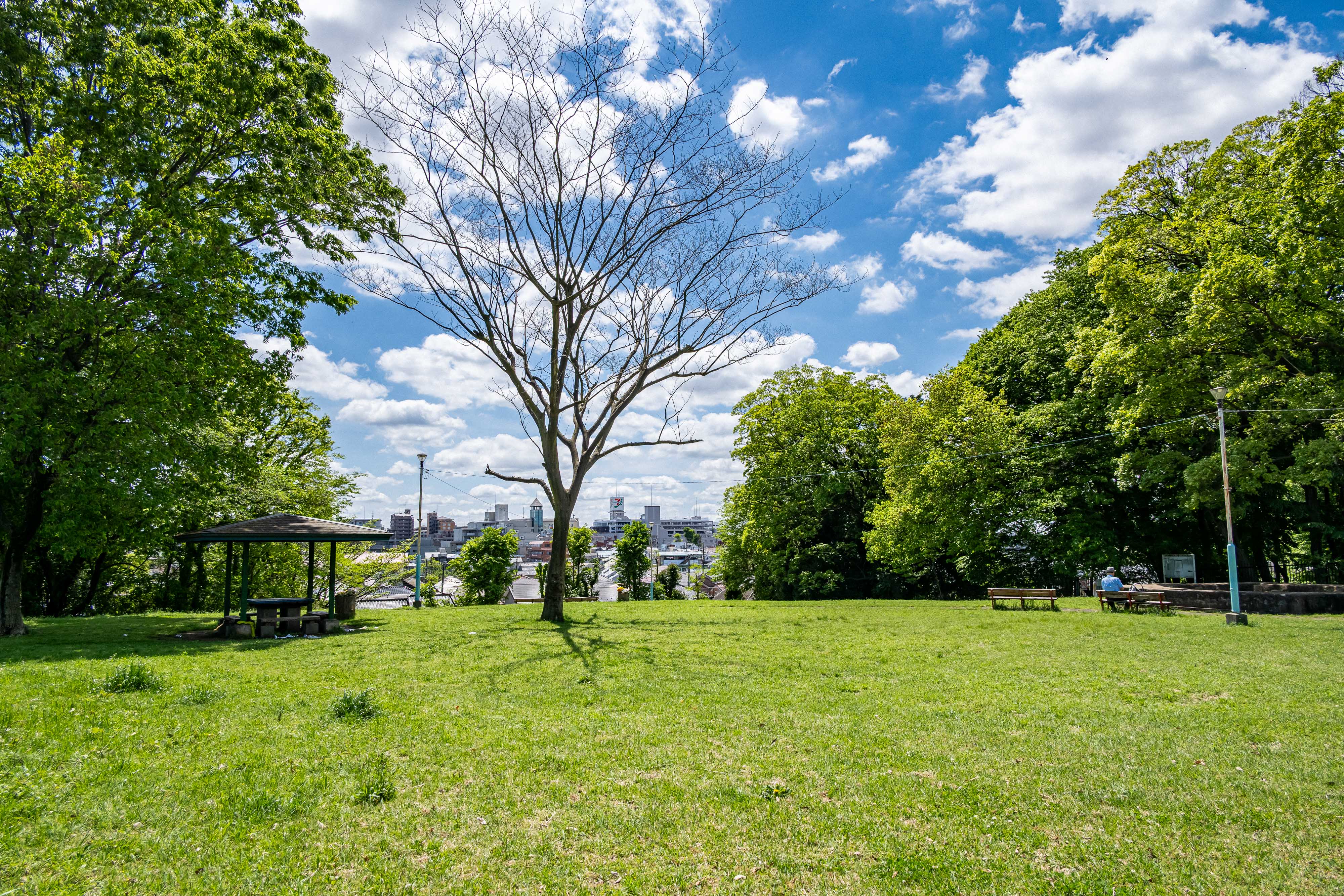 小山台遺跡公園 小山台遺跡公園