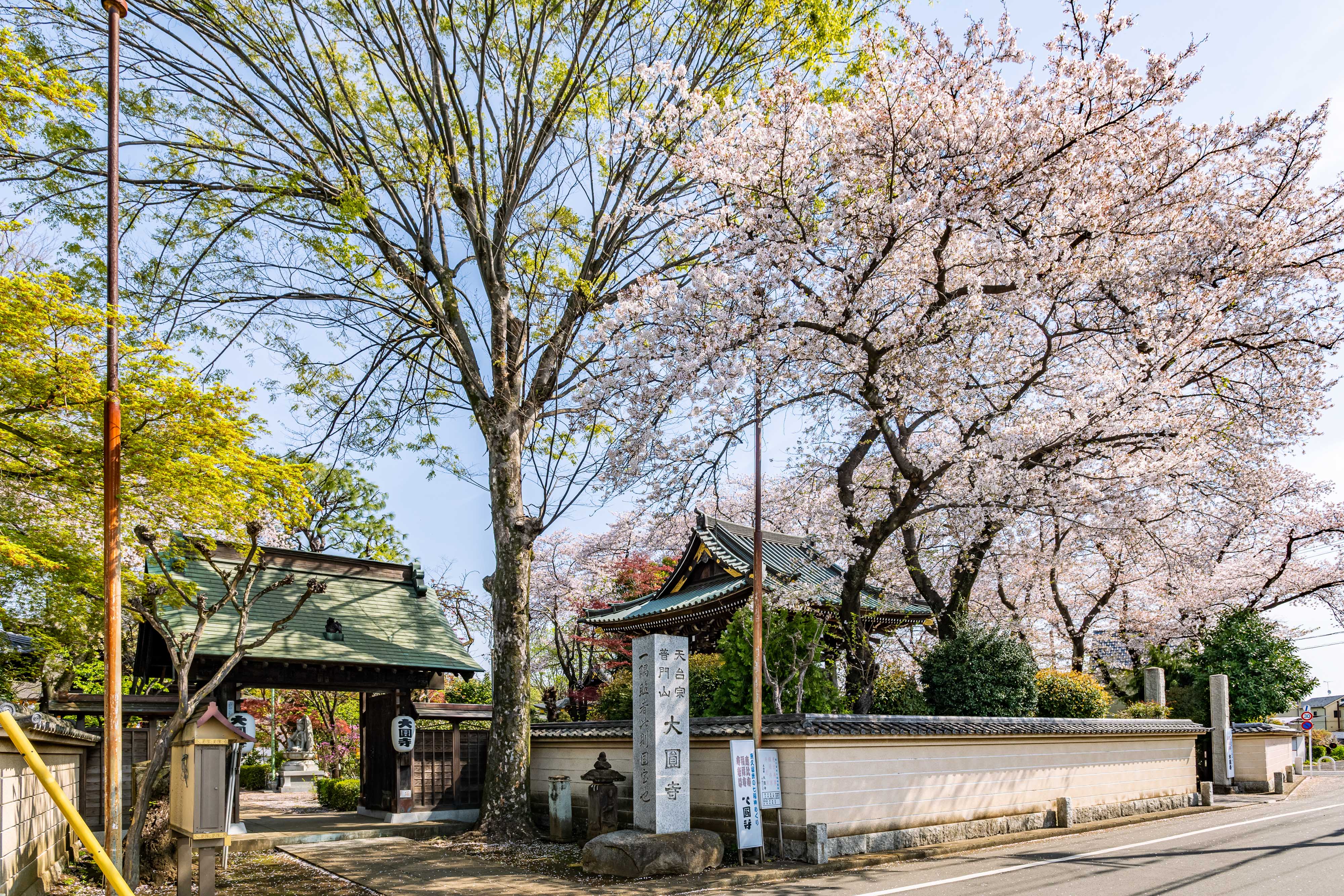 大圓寺 大圓寺
