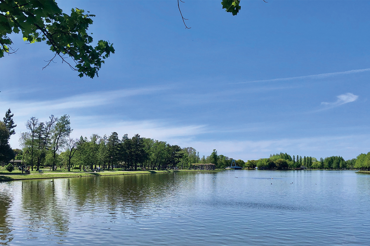 水元公園 水元公園