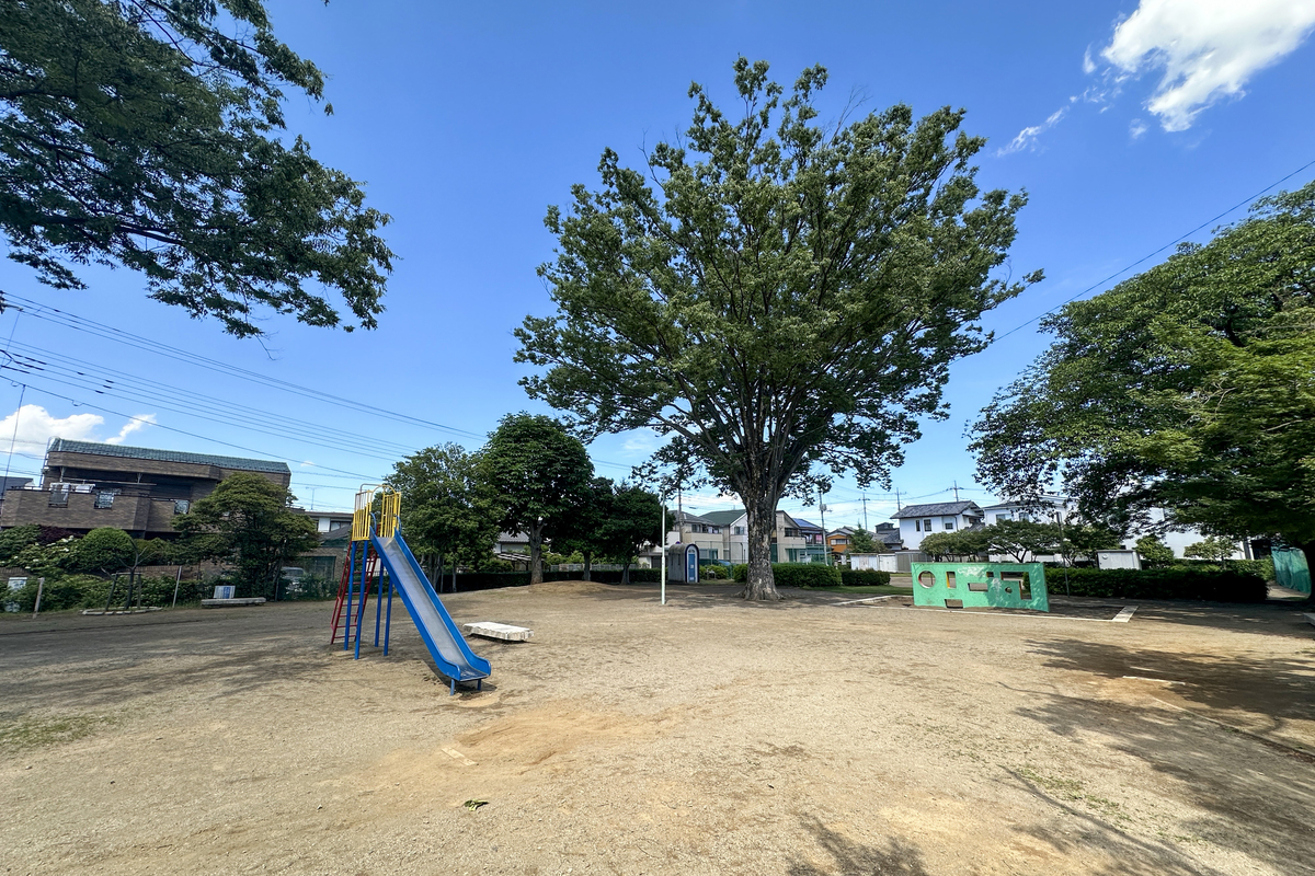 緑丘公園 緑丘公園