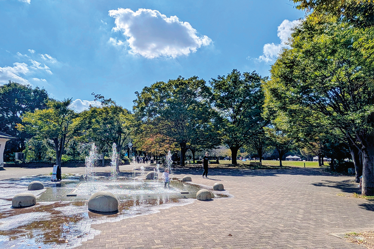西東京いこいの森公園 西東京いこいの森公園