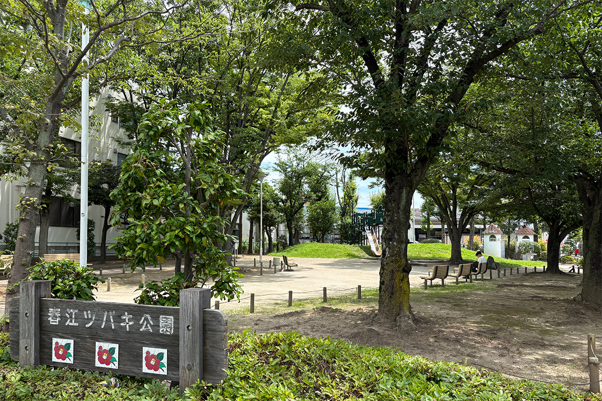 春江ツバキ公園 春江ツバキ公園