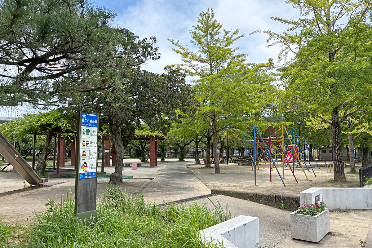春江の森公園 春江の森公園