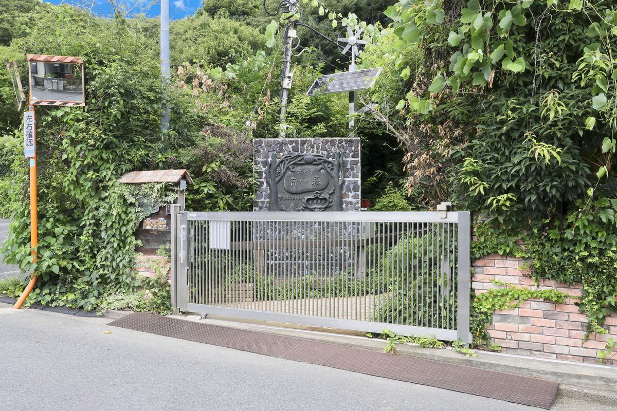 大古里育ちの森幼稚園 大古里育ちの森幼稚園