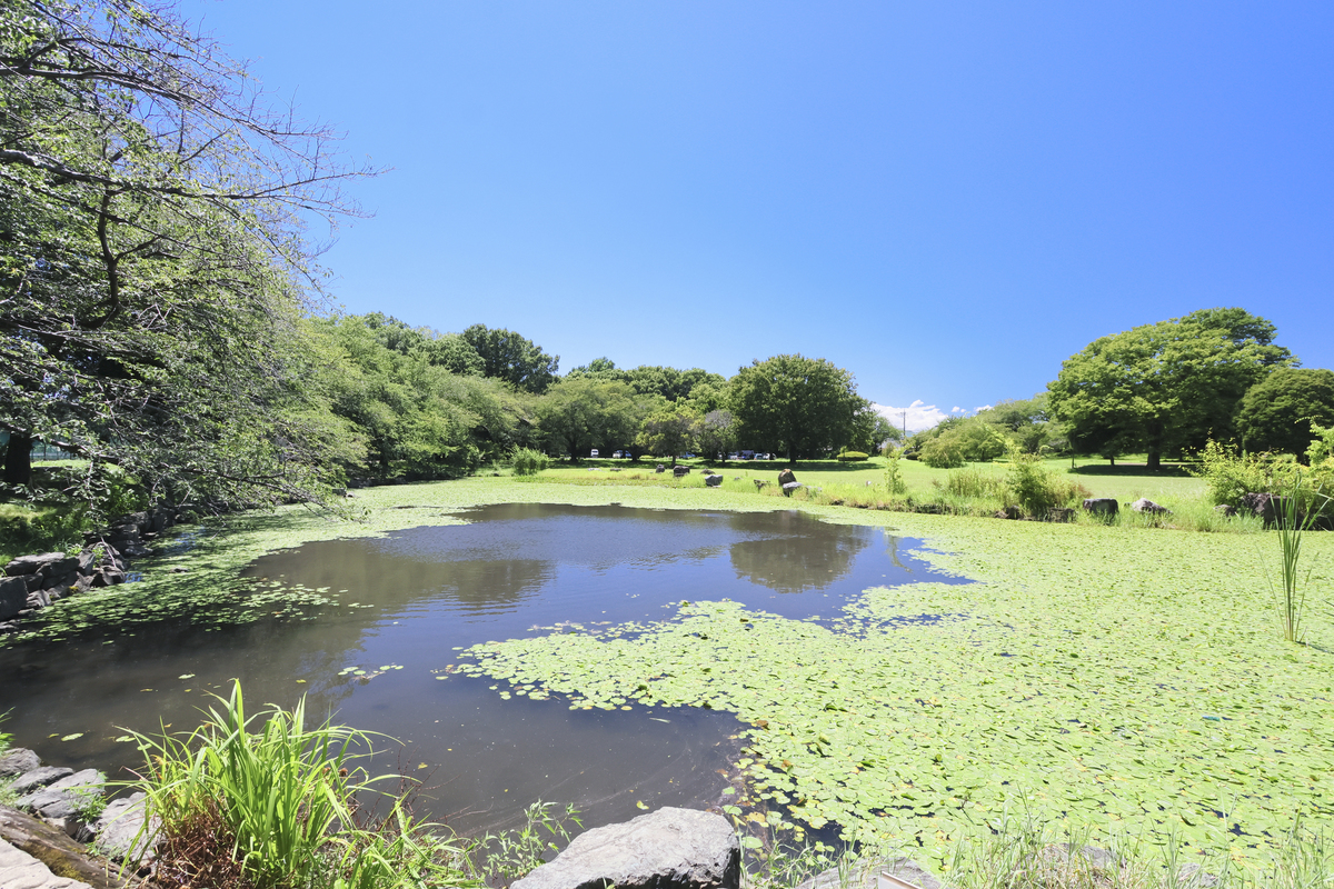 見沼氷川公園 見沼氷川公園