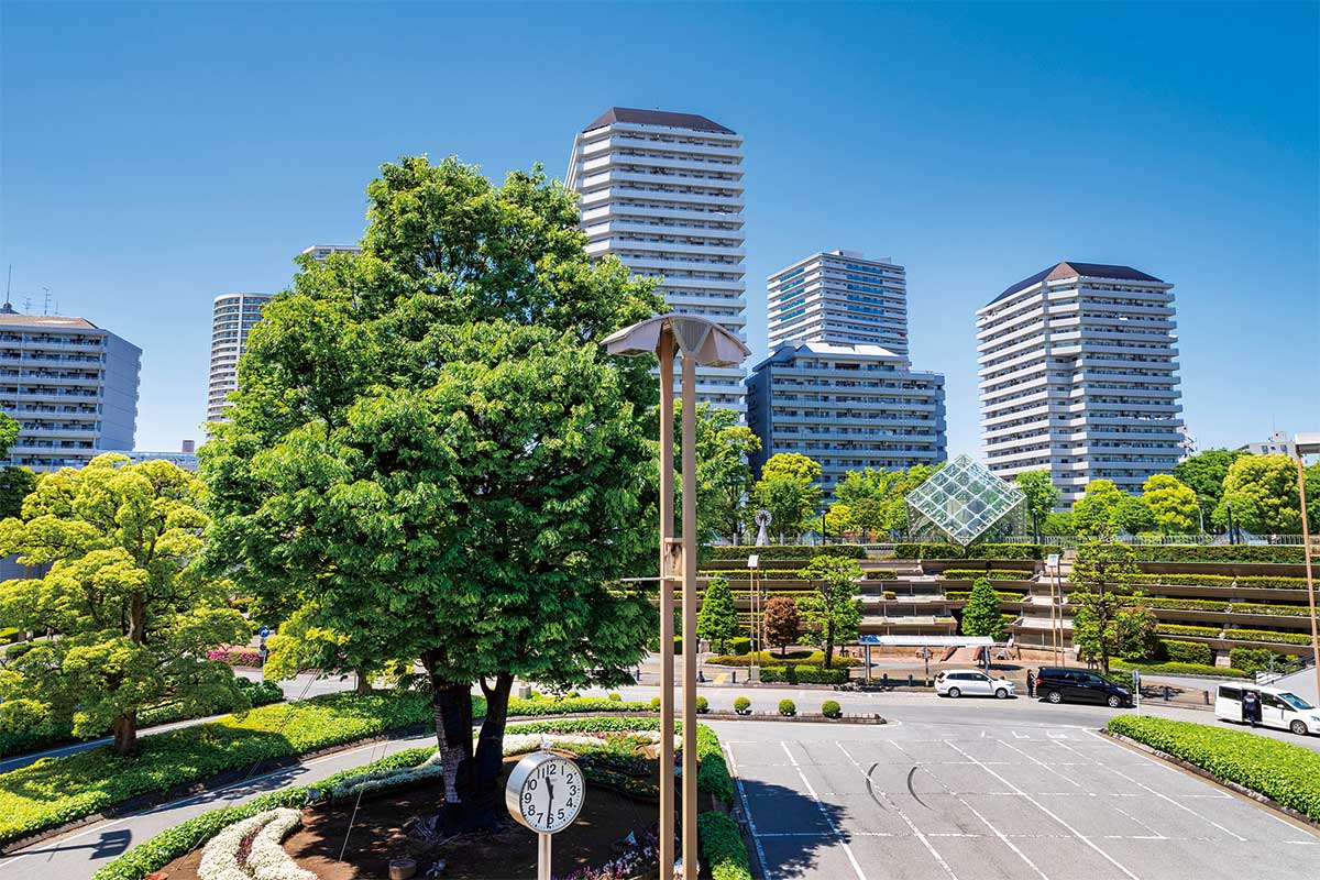 川口西公園(リリアパーク) 川口西公園(リリアパーク)