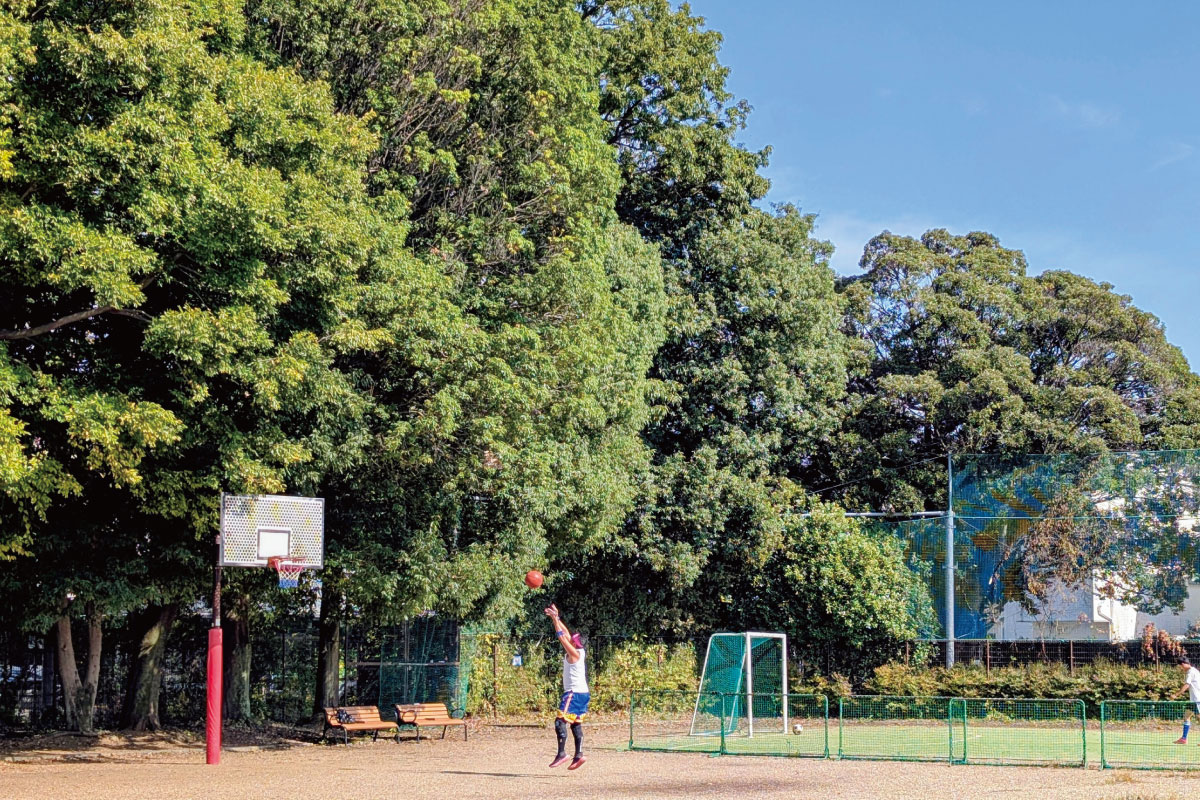 西東京いこいの森公園 西東京いこいの森公園