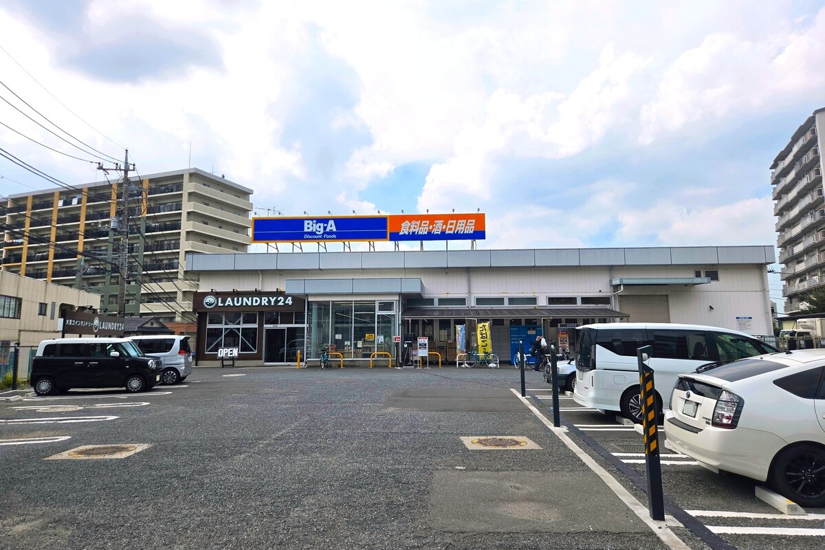 ビッグ・エー 三芳竹間沢店