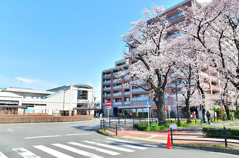 花小金井